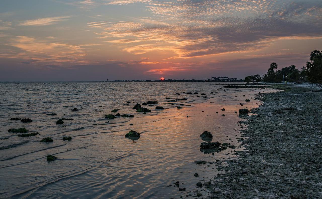 Sunset Paradise - Find Yourself In 坦帕 外观 照片